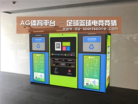 成功案例标题四