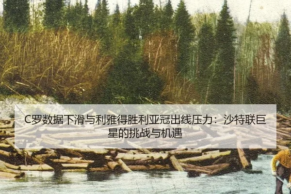 luo-shu-ju-xia-hua-yu-li-ya-de-sheng-li-ya-guan-chu-xian-ya-li-sha-te-lian-ju-xing-de-tiao-zhan-yu-ji-yu-3-121.jpg